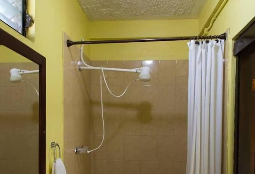 Hotel Belize Toucan Nest