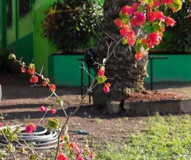 هتل Belize Toucan Nest