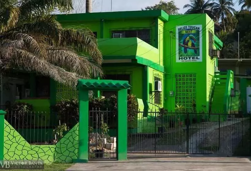 هتل Belize Toucan Nest
