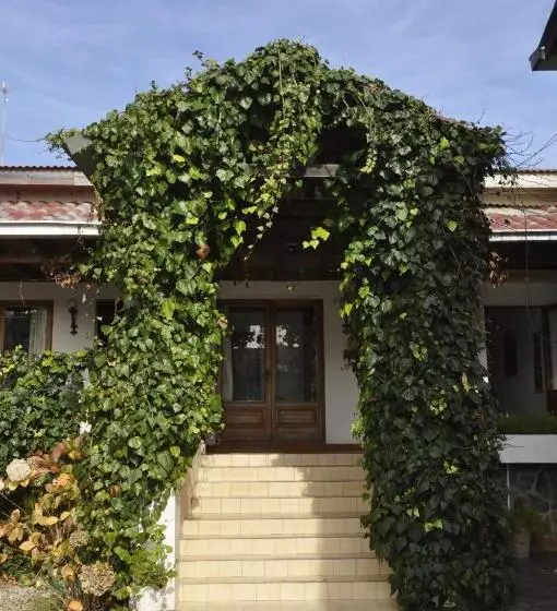 ホテル Hosteria Iloca