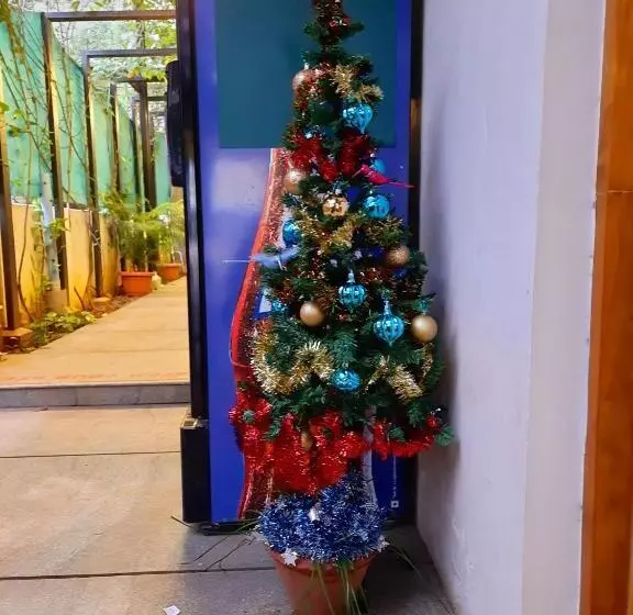 Bed and Breakfast Avea Accommodation