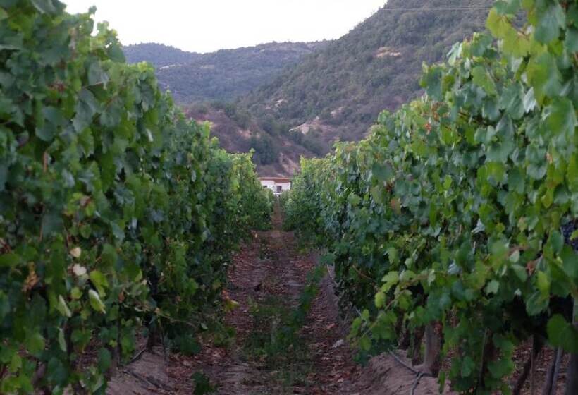 تختخواب و صبحانه Callihue Lodge