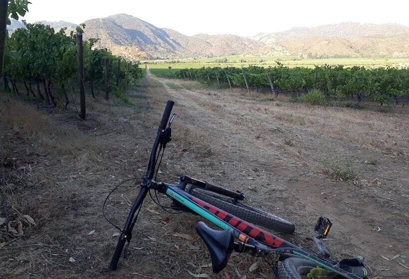 تختخواب و صبحانه Callihue Lodge