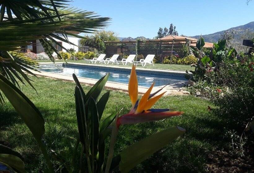 تختخواب و صبحانه Callihue Lodge