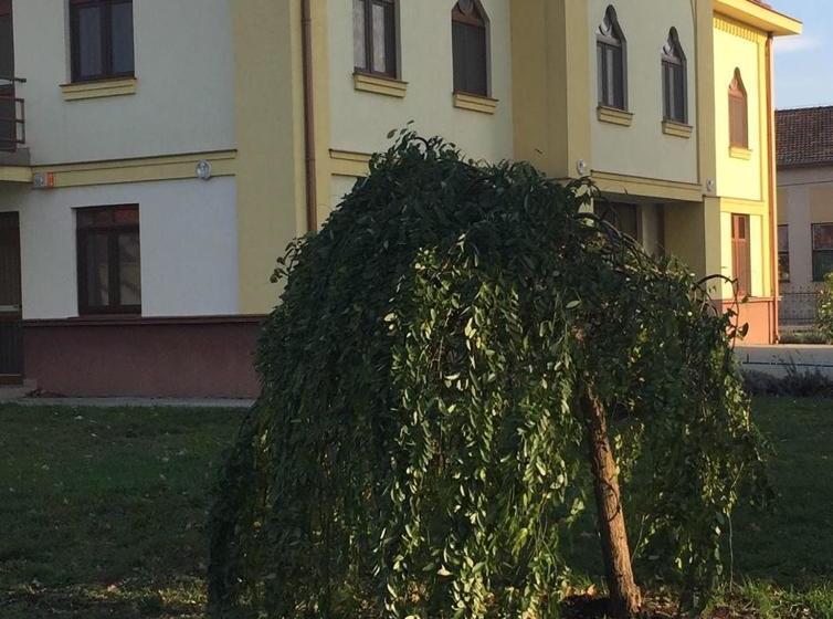 مبيت وإفطار Mamre Szálló