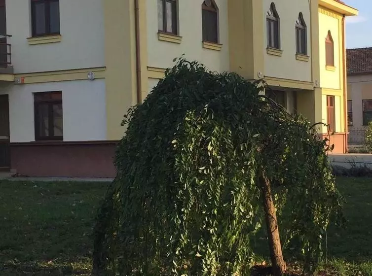 Aamiaismajoitus (B&B) Mamre Szálló