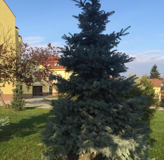 مبيت وإفطار Mamre Szálló