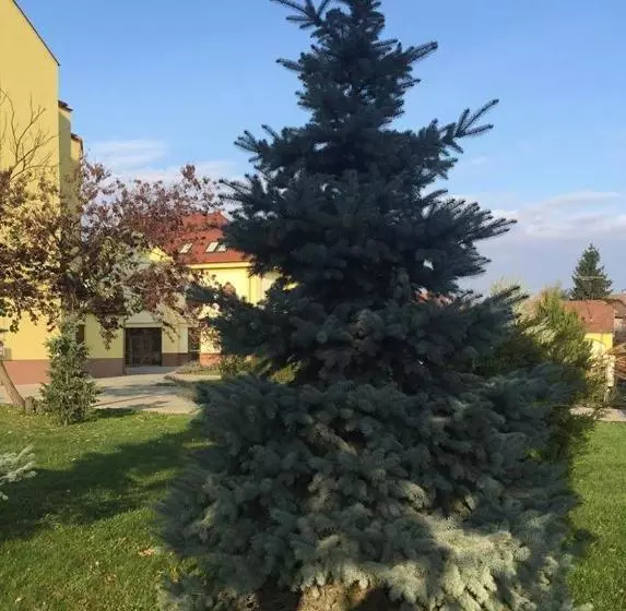 Aamiaismajoitus (B&B) Mamre Szálló