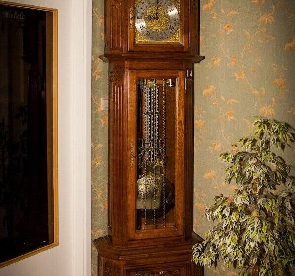 בית מלון כפרי De Spiegel