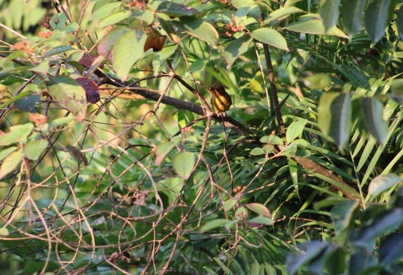 هتل Posada Del Cerro