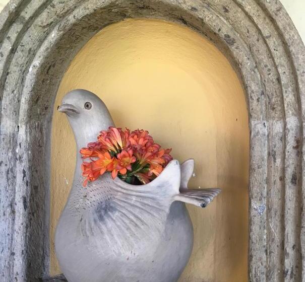 Casa Palomas Bed And Breakfast