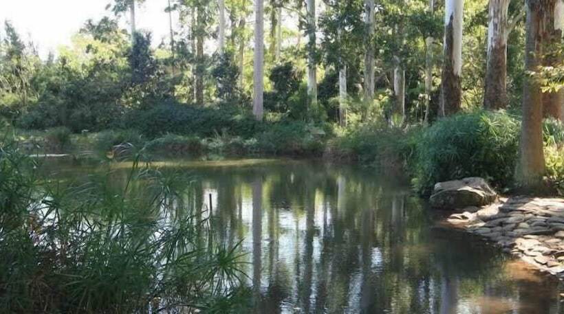 The Sleeping Bao B&b