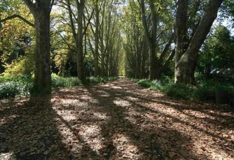 The Sleeping Bao B&b