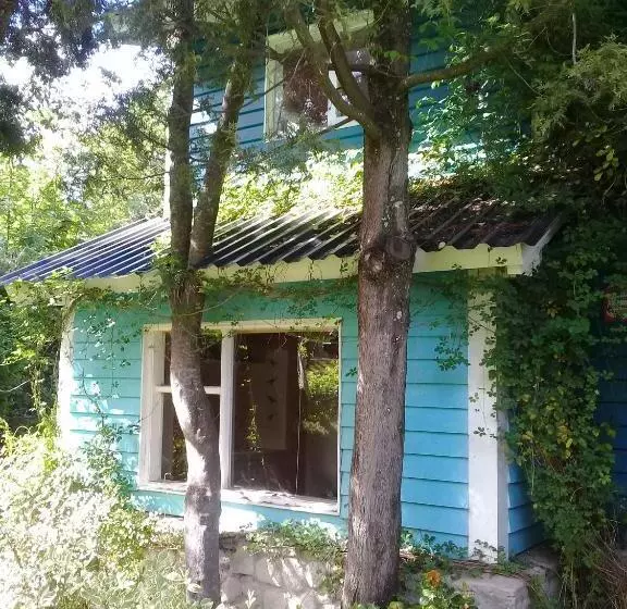 ベッドアンドブレックファースト Dodo House