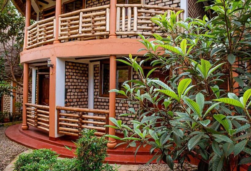 تختخواب و صبحانه Elite Backpackers Services