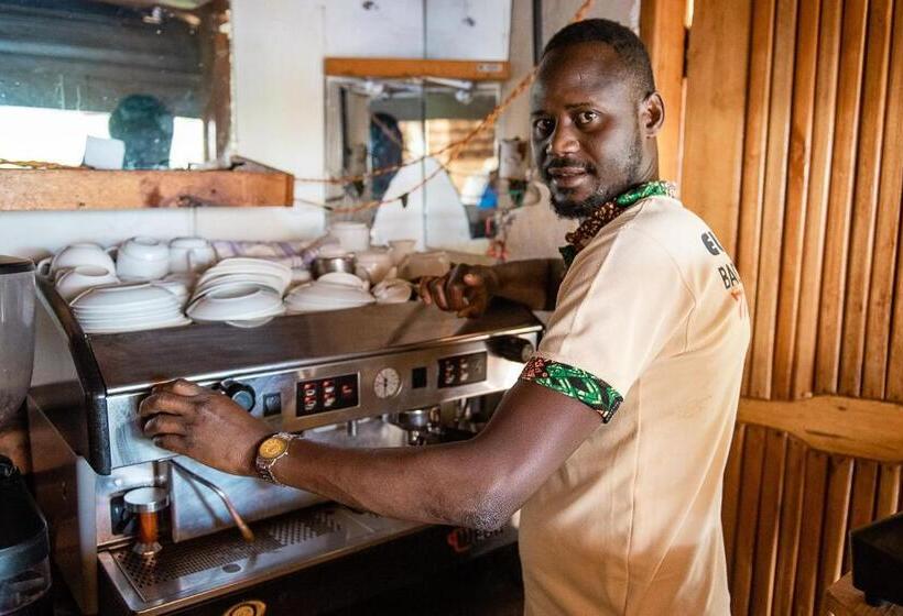 تختخواب و صبحانه Elite Backpackers Services