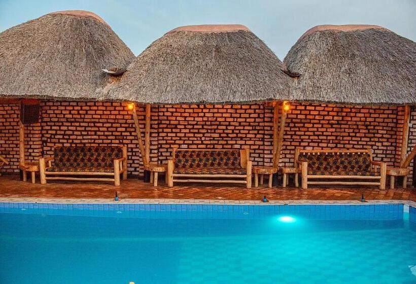 تختخواب و صبحانه Elite Backpackers Services