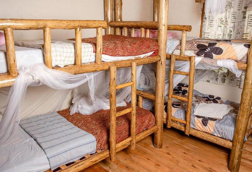 تختخواب و صبحانه Elite Backpackers Services