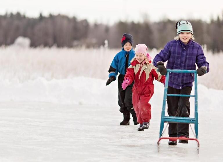 צימר Peltolan Luomutila