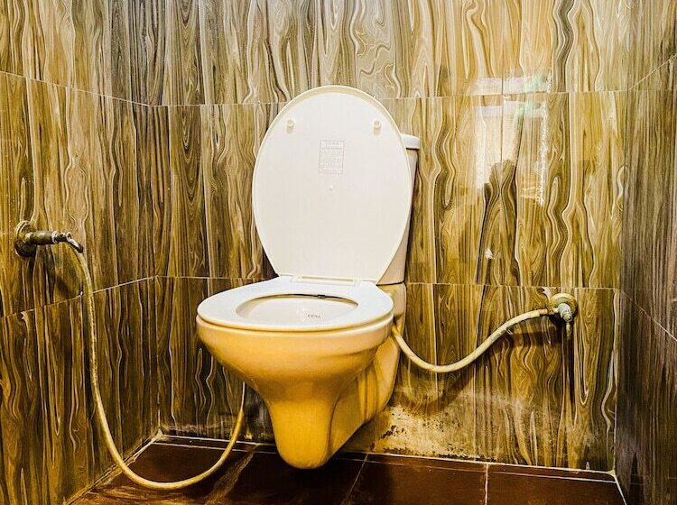 בית מלון כפרי Anand Palace