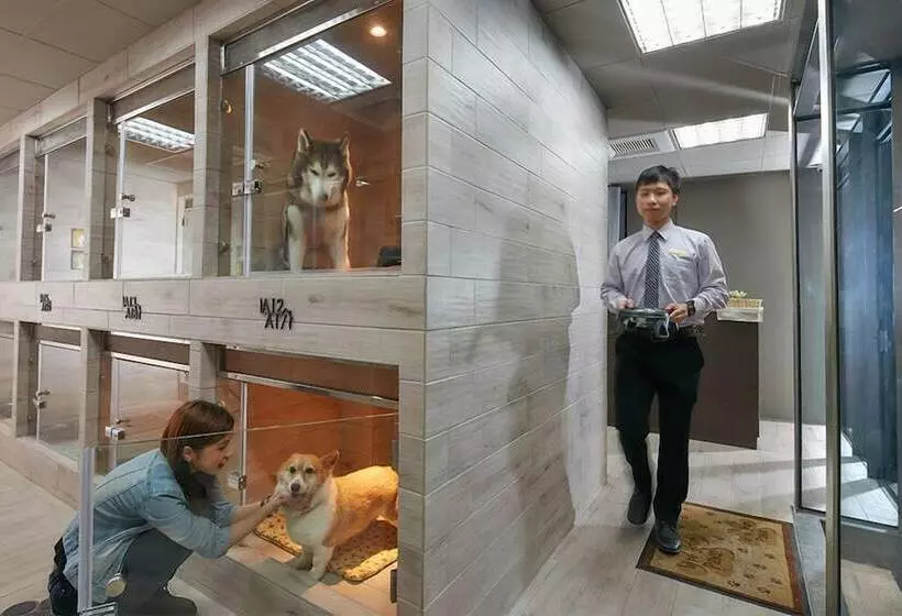 هتل Orient Luxury
