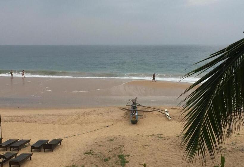 فندق Serenade Beach