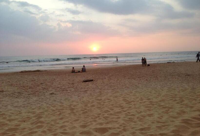 فندق Serenade Beach