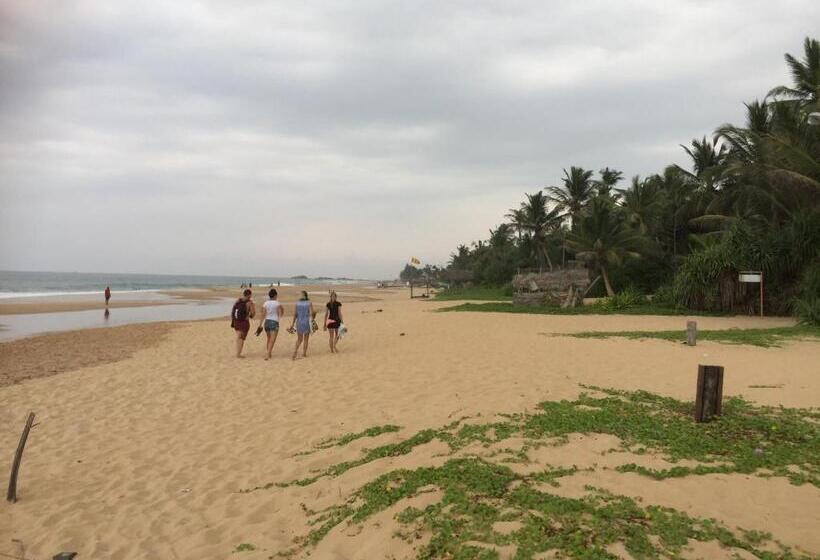 فندق Serenade Beach