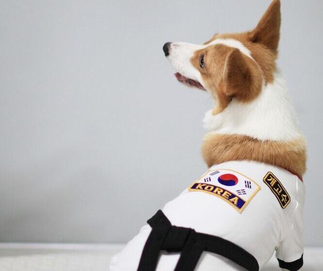 مُتل 9st Traveltel