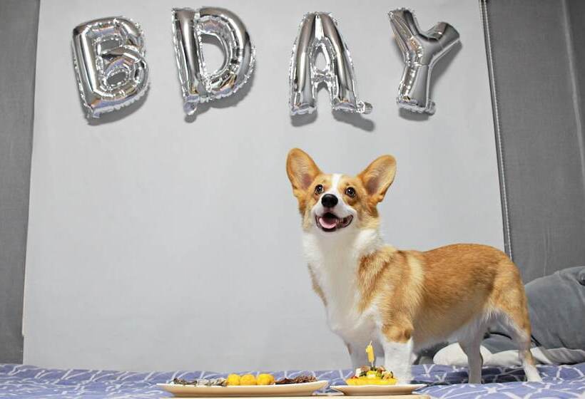 مُتل 9st Traveltel