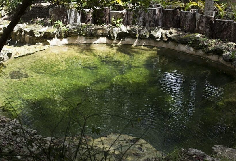 مبيت وإفطار Chaktunche Rancho Ecolodge