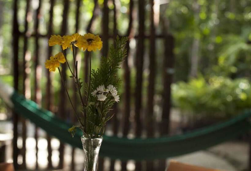 مبيت وإفطار Chaktunche Rancho Ecolodge