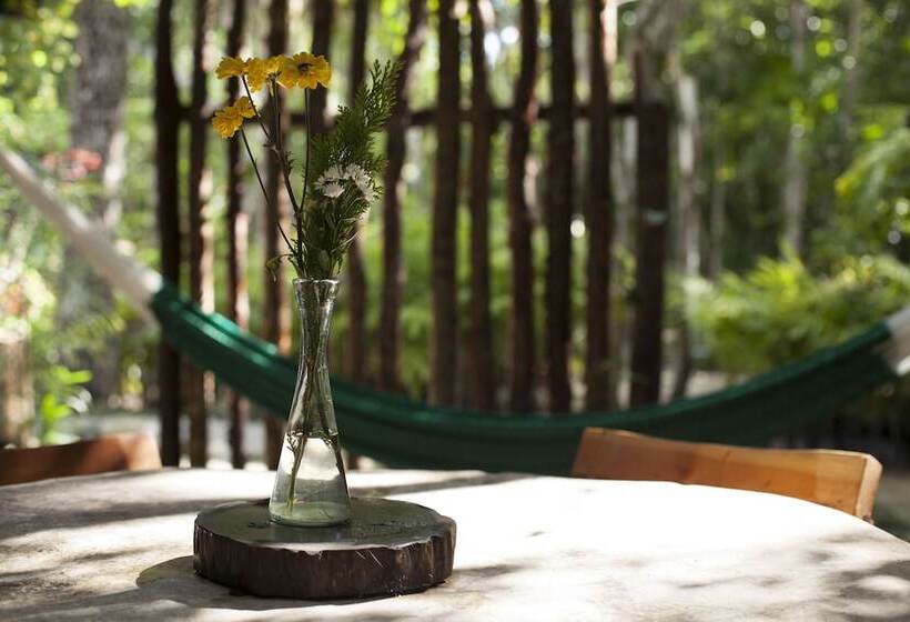 مبيت وإفطار Chaktunche Rancho Ecolodge