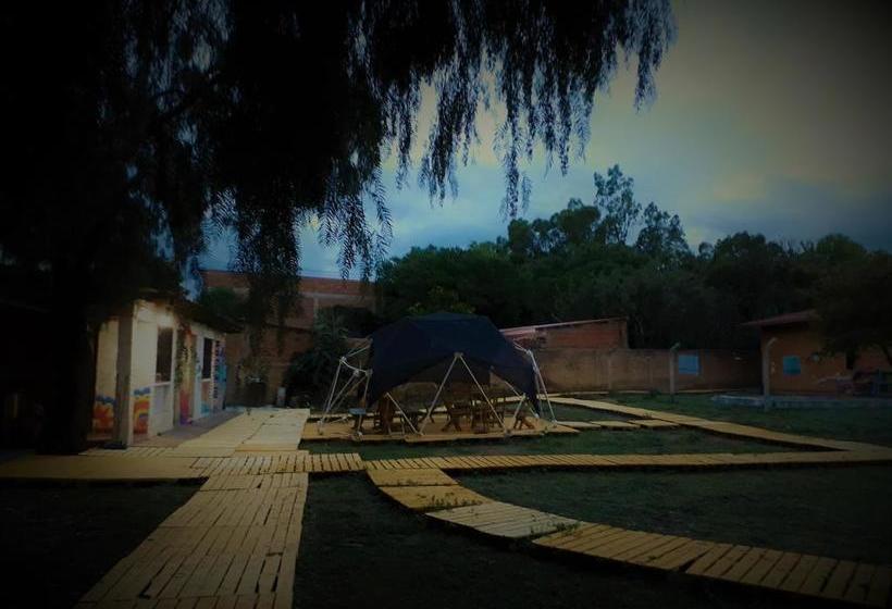Bed and Breakfast La Cúpula Hostel & Camping