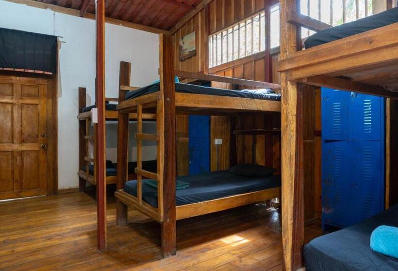 هتل Burnt Toast Surfcamp