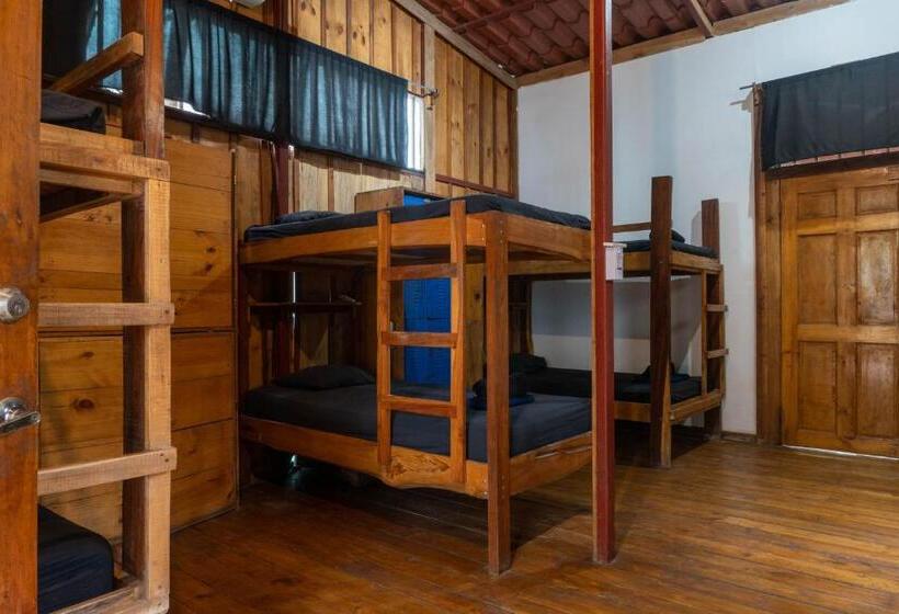 هتل Burnt Toast Surfcamp