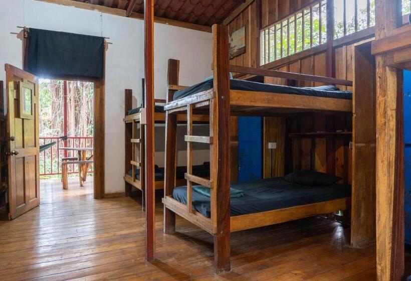 هتل Burnt Toast Surfcamp