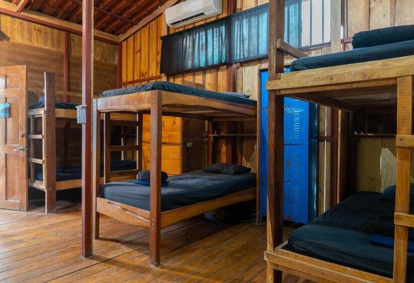 هتل Burnt Toast Surfcamp