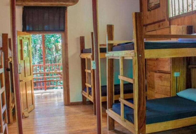 هتل Burnt Toast Surfcamp