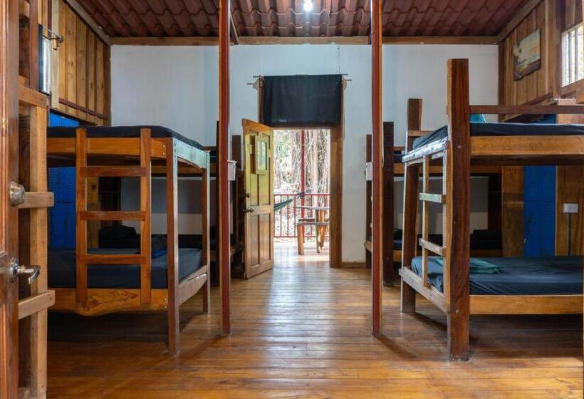 هتل Burnt Toast Surfcamp