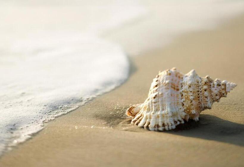 리조트 White Shell Beach House