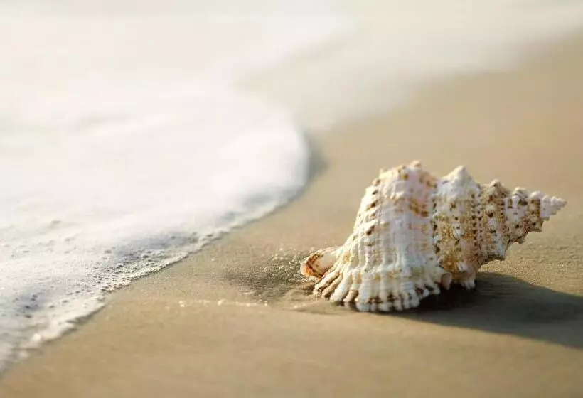 Resort White Shell Beach House