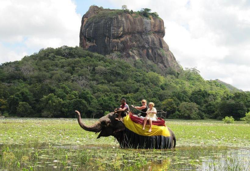 مبيت وإفطار Chanara