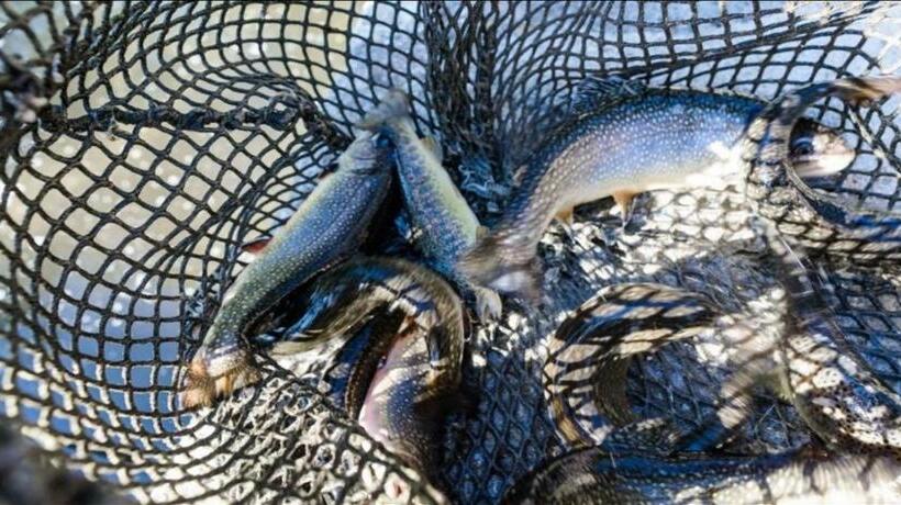 בית מלון כפרי Albergo Ristorante Il Laghetto