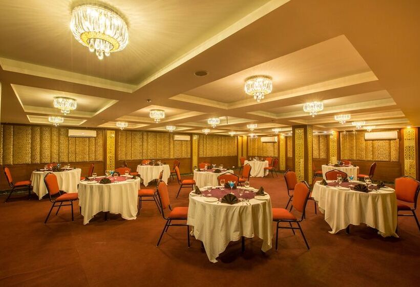 Отель Cygnett Inn Krishna