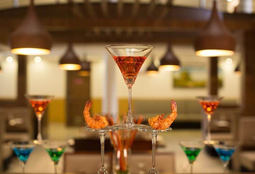 Отель Cygnett Inn Krishna