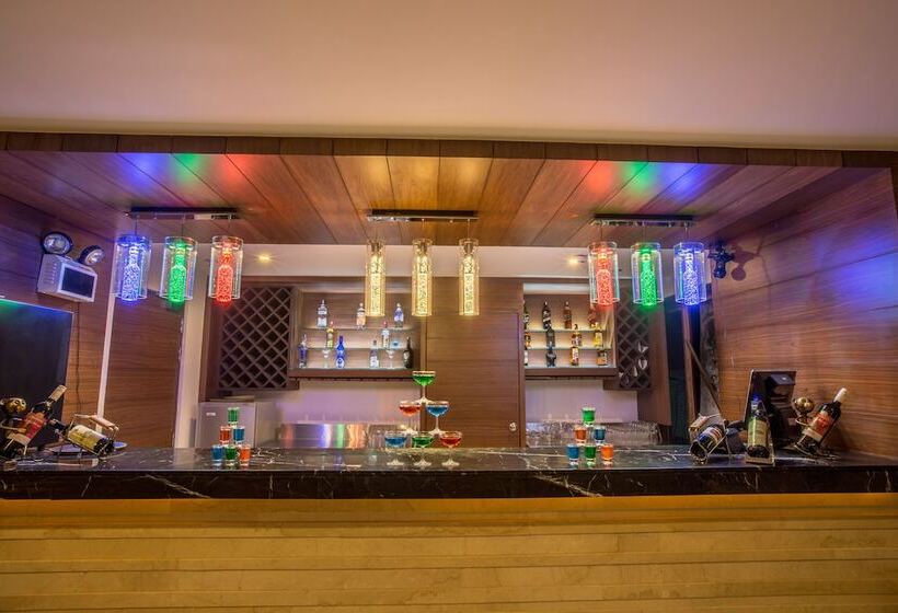 هتل Cygnett Inn Krishna