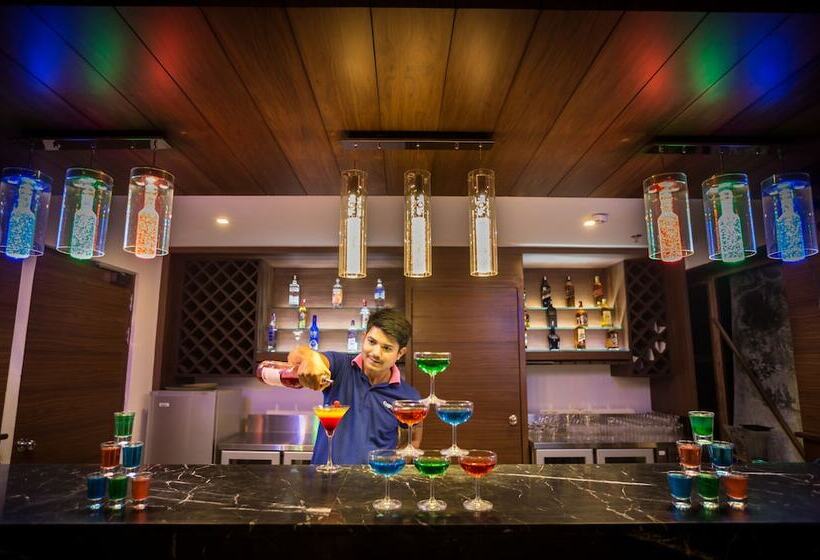 هتل Cygnett Inn Krishna