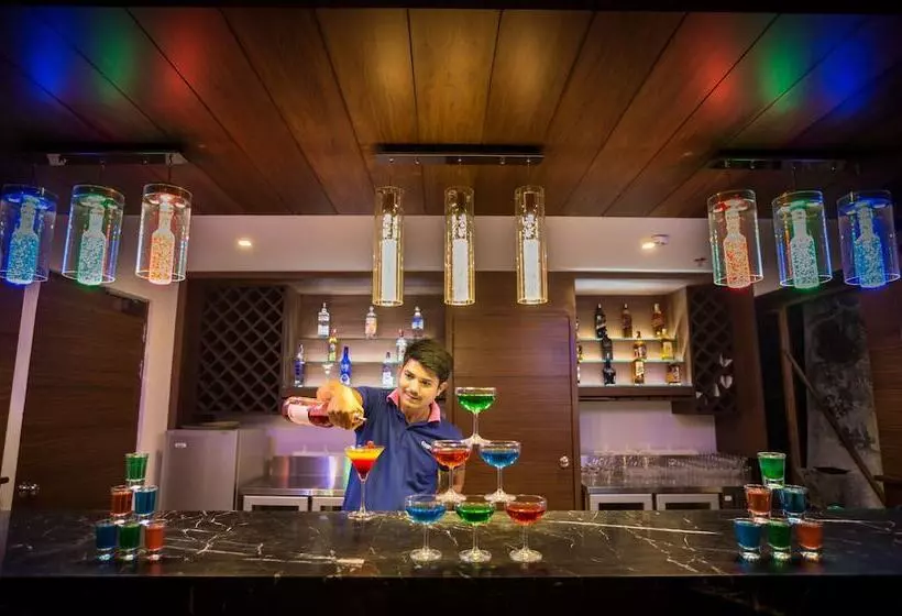 هتل Cygnett Inn Krishna