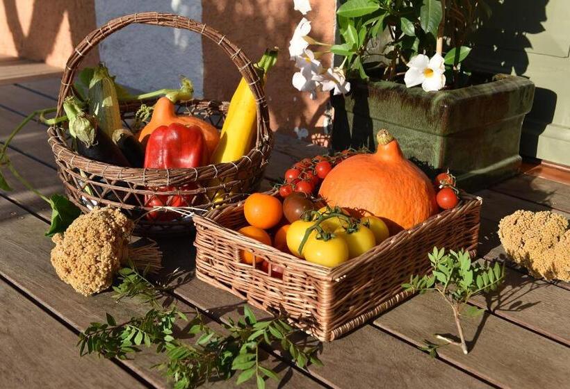 בית מלון כפרי Hôtel Les Lentisques